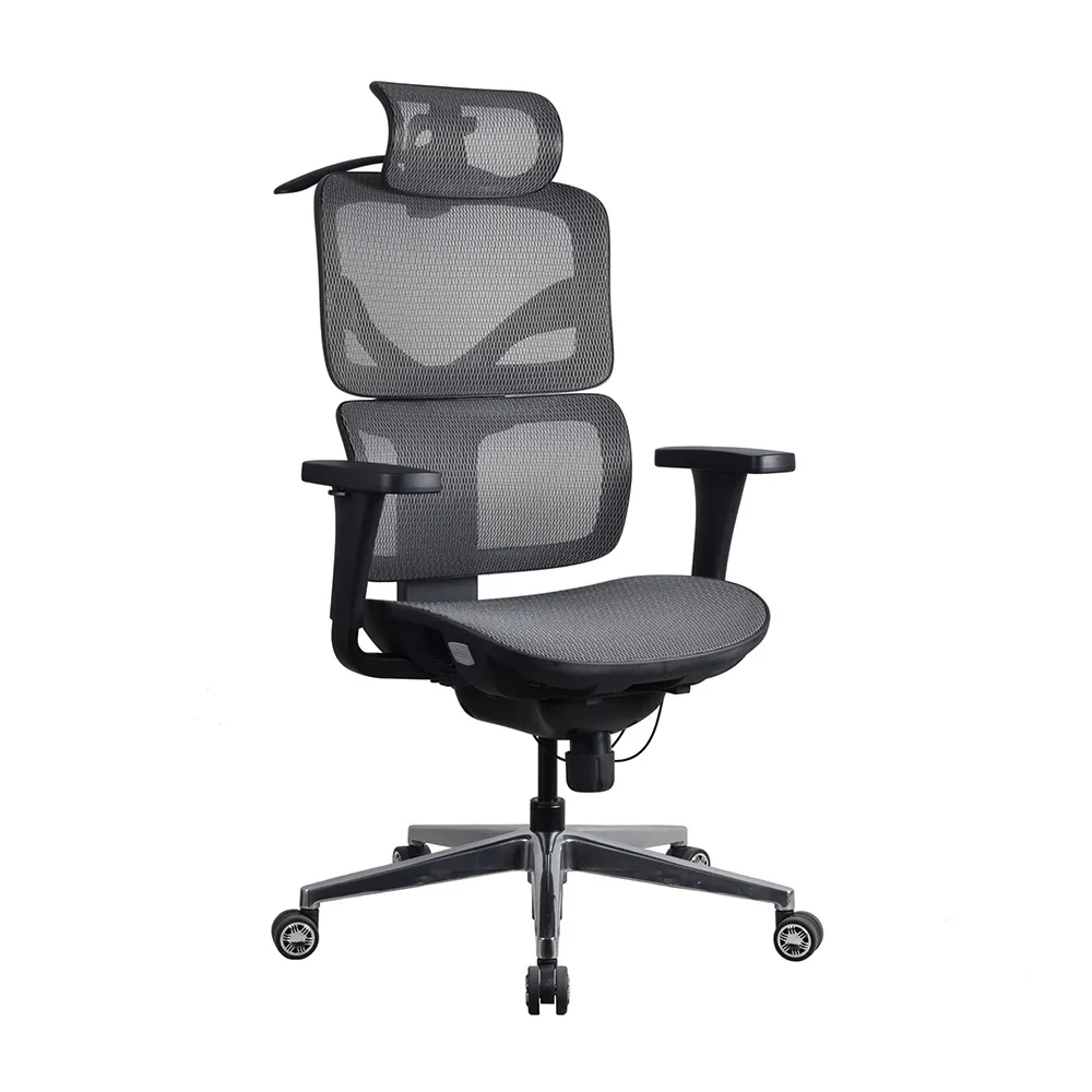 Peachy Life 完美主義  人體工學黑曜椅/電腦椅/辦公椅 歷史價格詳細信息