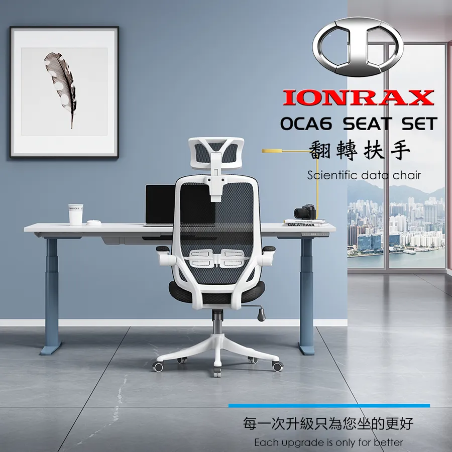 IONRAX OCA6 SEAT SET  電腦椅  辦公椅 廠商直送 現貨 歷史價格詳細信息