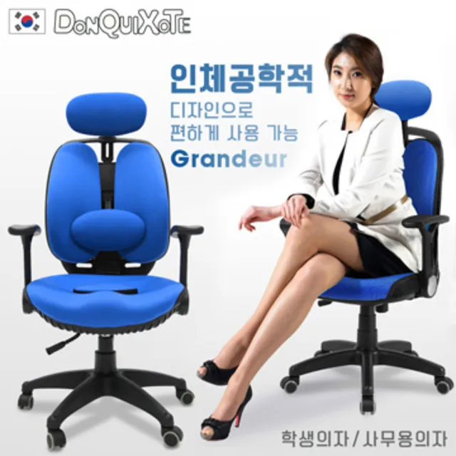 【DonQuiXoTe】韓國原裝Grandeur雙背透氣坐墊人體工學椅-黑 歷史價格詳細信息