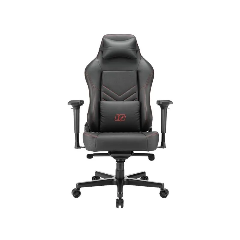 iRocks 艾芮克 T08-PLUS高階電腦椅 4D扶手/菱格紋設計/多段椅背/背部收納 歷史價格詳細信息