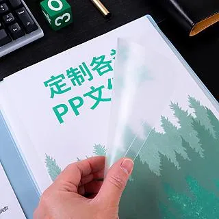 A4透明L型文件夾 8包-240入 歷史價格詳細信息