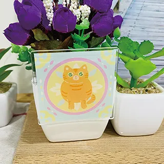 Stylelife可愛卡通零錢收納包⭐可愛小花 歷史價格詳細信息