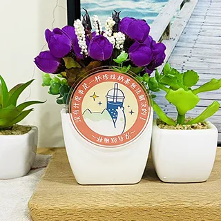 Stylelife可愛卡通零錢收納包⭐可愛小花 歷史價格詳細信息