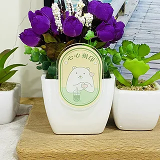 【壓克力夾】卓大王滴膠壓克力夾子手帳用收納動物夾 歷史價格詳細信息