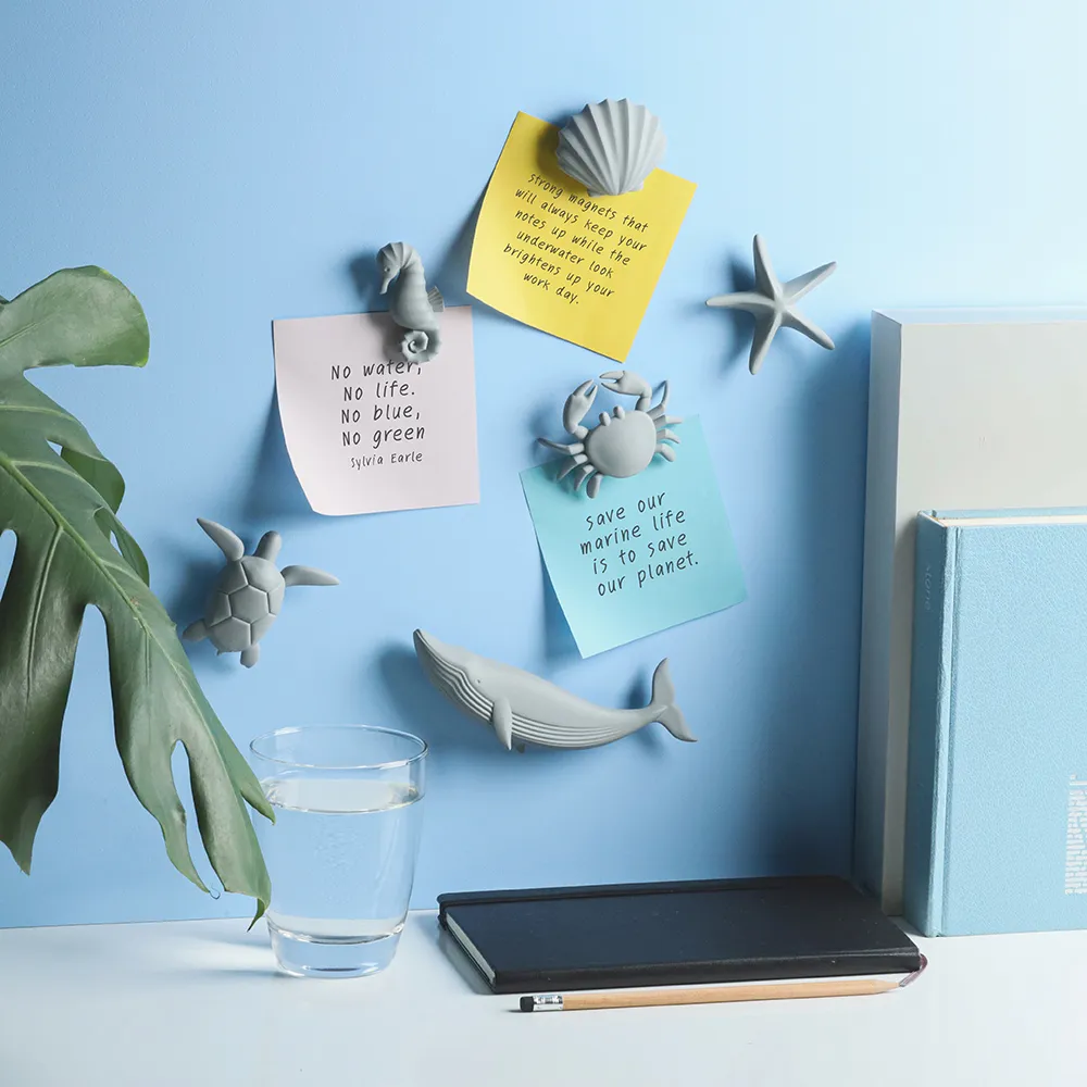 QUALY 海洋抽屜收納盒 三入組 歷史價格詳細信息