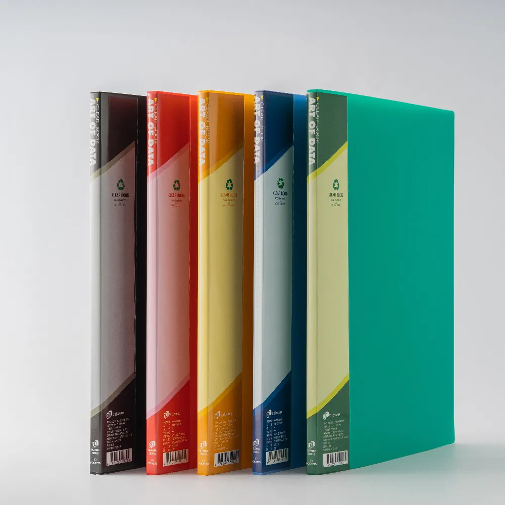 雙德文具 台灣製造 PP主色版A4 100入資料簿 (附外盒) 歷史價格詳細信息