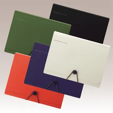 LIHIT A4文件夾資料本 20入(N-7111)＊幾乎無厚度方便放入手提包 歷史價格詳細信息