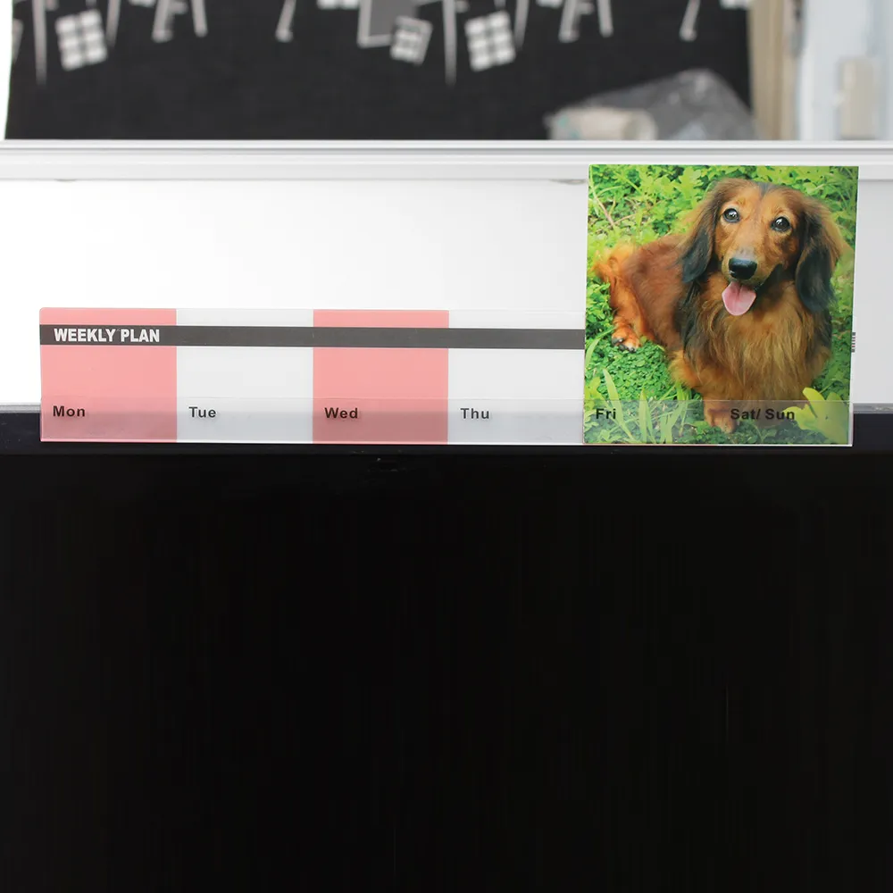 粉碎計畫：1951－1954中美合作敵後游擊最終戰突擊東山島【金石堂】 歷史價格詳細信息