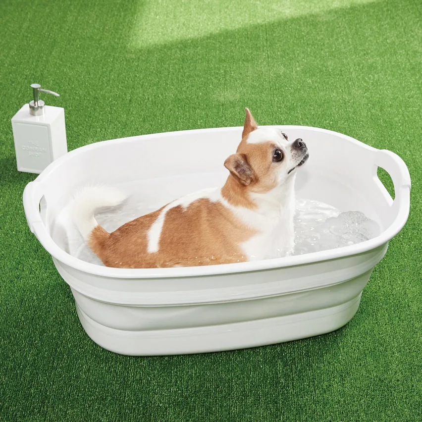 日本製 ISETO 伊勢藤 二合一 野餐提籃野餐桌15L 多功能 露營 野餐 野餐桌 收納籃 迷彩 歷史價格詳細信息