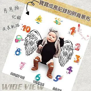 VIEW-長效塗抹式防霧劑 15ml(TV330) 歷史價格詳細信息