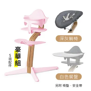 丹麥nomi 多階段兒童成長學習調節椅超值組-草綠 歷史價格詳細信息
