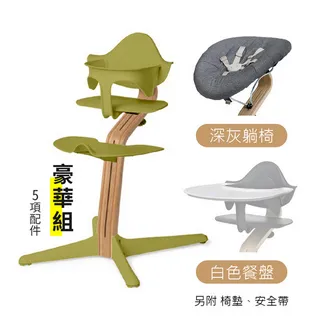 丹麥nomi 多階段兒童成長學習調節椅超值組-草綠 歷史價格詳細信息