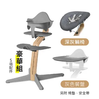 丹麥nomi 多階段兒童成長學習調節椅超值組-草綠 歷史價格詳細信息