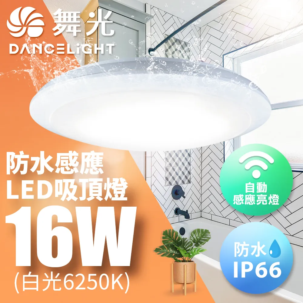 【舞光-LED】LED 16W IP66 戶外白鯨防水吸頂燈 E-CEBJ16D 歷史價格詳細信息