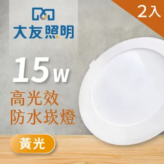 【大友照明】LED防水崁燈 15W - 白光 - 2入(LED崁燈) 歷史價格詳細信息