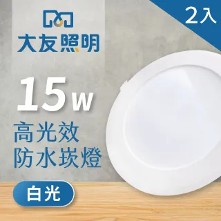 【大友照明】LED防水崁燈 15W - 白光 - 2入(LED崁燈) 歷史價格詳細信息