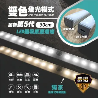 LED燈條 30CM 21晶片 特價超便宜 適用於 車門燈 氣氛燈 氣壩燈 歷史價格詳細信息