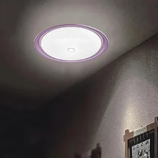 【星星點燈】紅玫瑰吸頂燈5燈 33321 歷史價格詳細信息