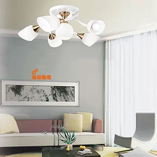 吸頂燈(6)~直徑約41.5cm~故障品~無燈管~只有外殼~塑料燈罩+鐵皮底盤~懷舊.道具 歷史價格詳細信息