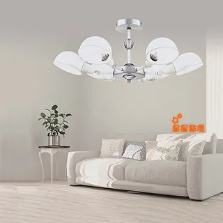 吸頂燈(6)~直徑約41.5cm~故障品~無燈管~只有外殼~塑料燈罩+鐵皮底盤~懷舊.道具 歷史價格詳細信息