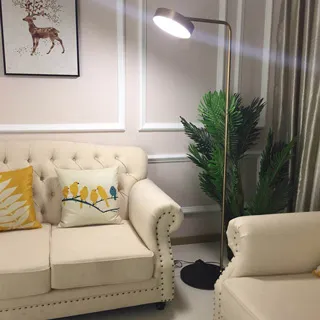 【H&R 安室家】LED愛家落地燈(ZA0075) 歷史價格詳細信息