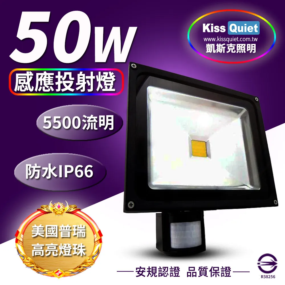 《Kiss Quiet》 質感黑(白光/黄光)30W LED投射燈全電壓探照燈-1入 歷史價格詳細信息