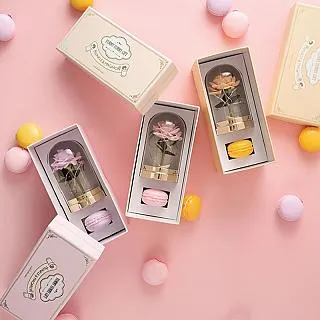 韓國 Via K Studio LED 仿真花夜燈- 康乃馨2款任選 歷史價格詳細信息