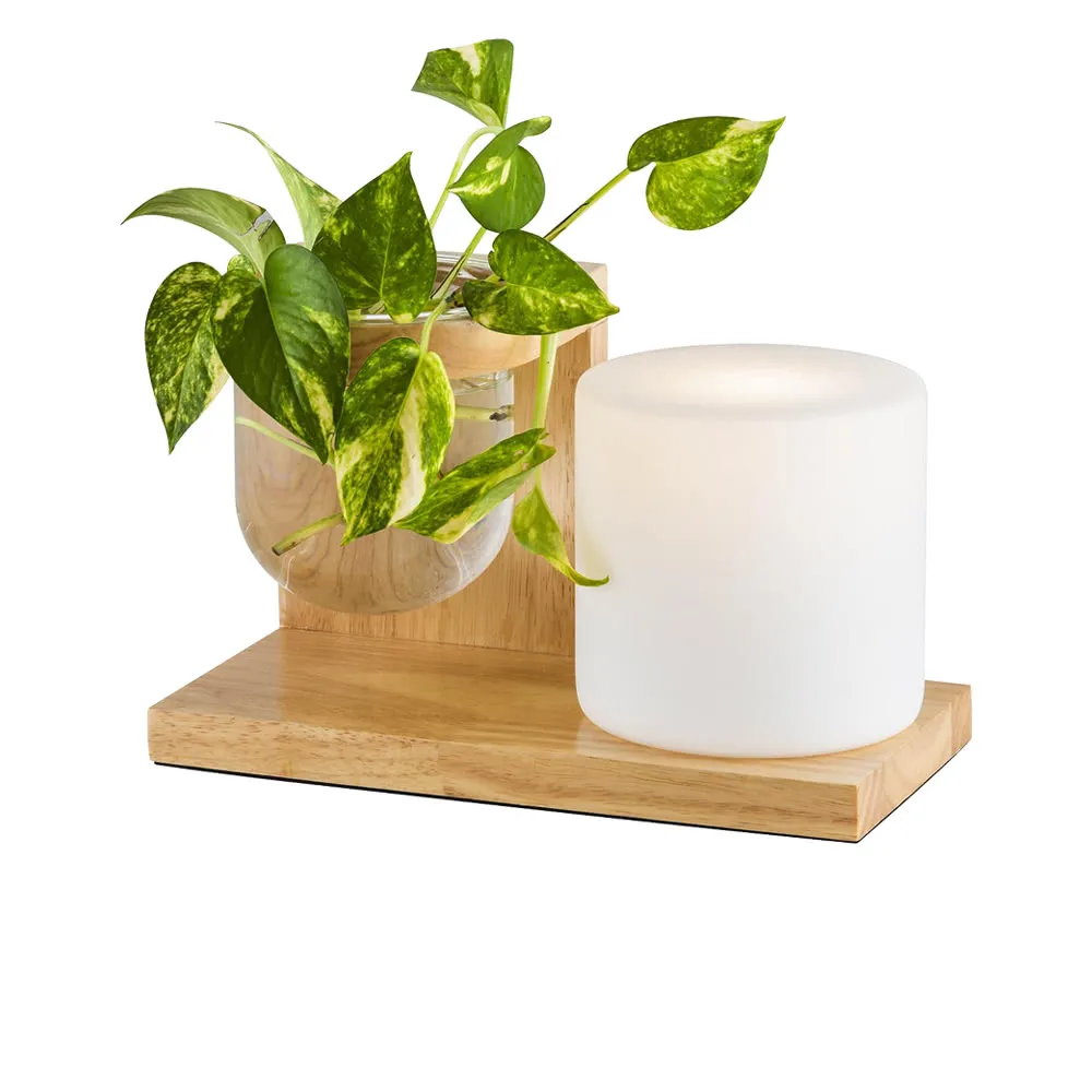 【大巨光】北歐風E27 10燈 半吸頂燈-大(BM-50251) 歷史價格詳細信息