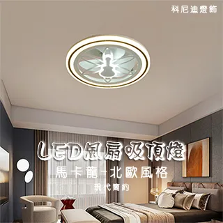 8818外貿折扣成人帶胸墊連分體平角泳衣新款白色女士大人保守泳裝 歷史價格詳細信息