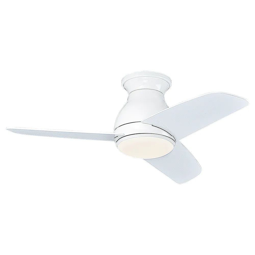 《羅馬 附DVD》ISBN:9788889896686│Lozzi Roma 歷史價格詳細信息