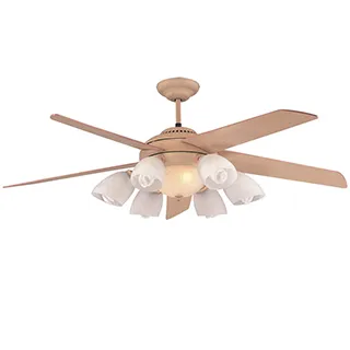 阿波羅 特力楓52吋燈扇-遙控款AP25150G 歷史價格詳細信息