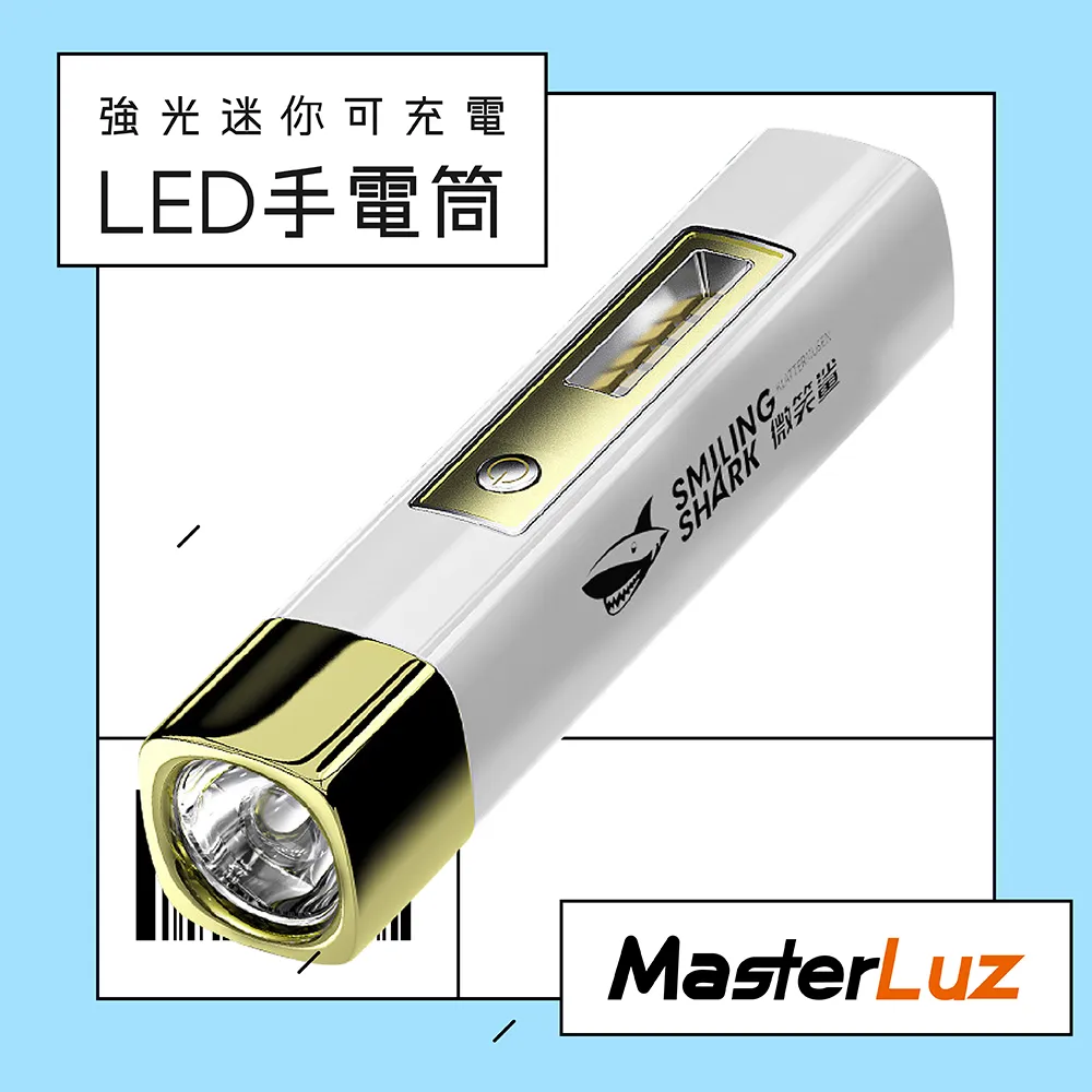 MasterLuz-全電壓 A60 4W E27 LED復古鎢絲燈泡 黃光(2入) 歷史價格詳細信息