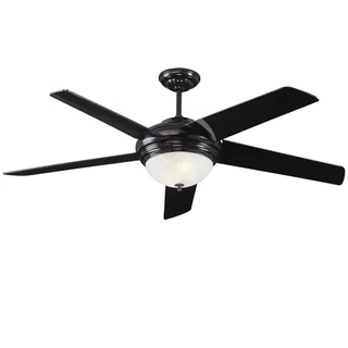 阿波羅 黑德爾56吋吊扇+多燈組AP09110 歷史價格詳細信息