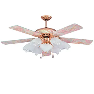 阿波羅 香波爾60吋吊扇+多燈組AP75076 歷史價格詳細信息