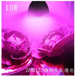 LED 生長燈泡, 生長燈,好品質 植物燈泡 用於室內植物紅色和藍色光譜 E27 300 LED 用於幼苗水培多 歷史價格詳細信息