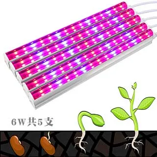 燈管 歷史價格詳細信息