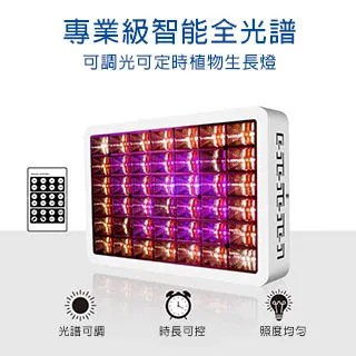 植物的生存智慧/杜志堅,鄒麗娟,黃瑞蘭【城邦讀書花園】 歷史價格詳細信息