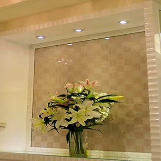 LED點燈板 T315HW07 V8 升壓板  31T14-D04  D03 D05 D06都可以替用下標請先看說明 歷史價格詳細信息