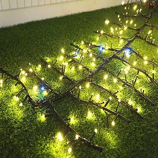 【裝飾燈大師】LED20燈銅線松果裝飾燈-電池式+USB 歷史價格詳細信息