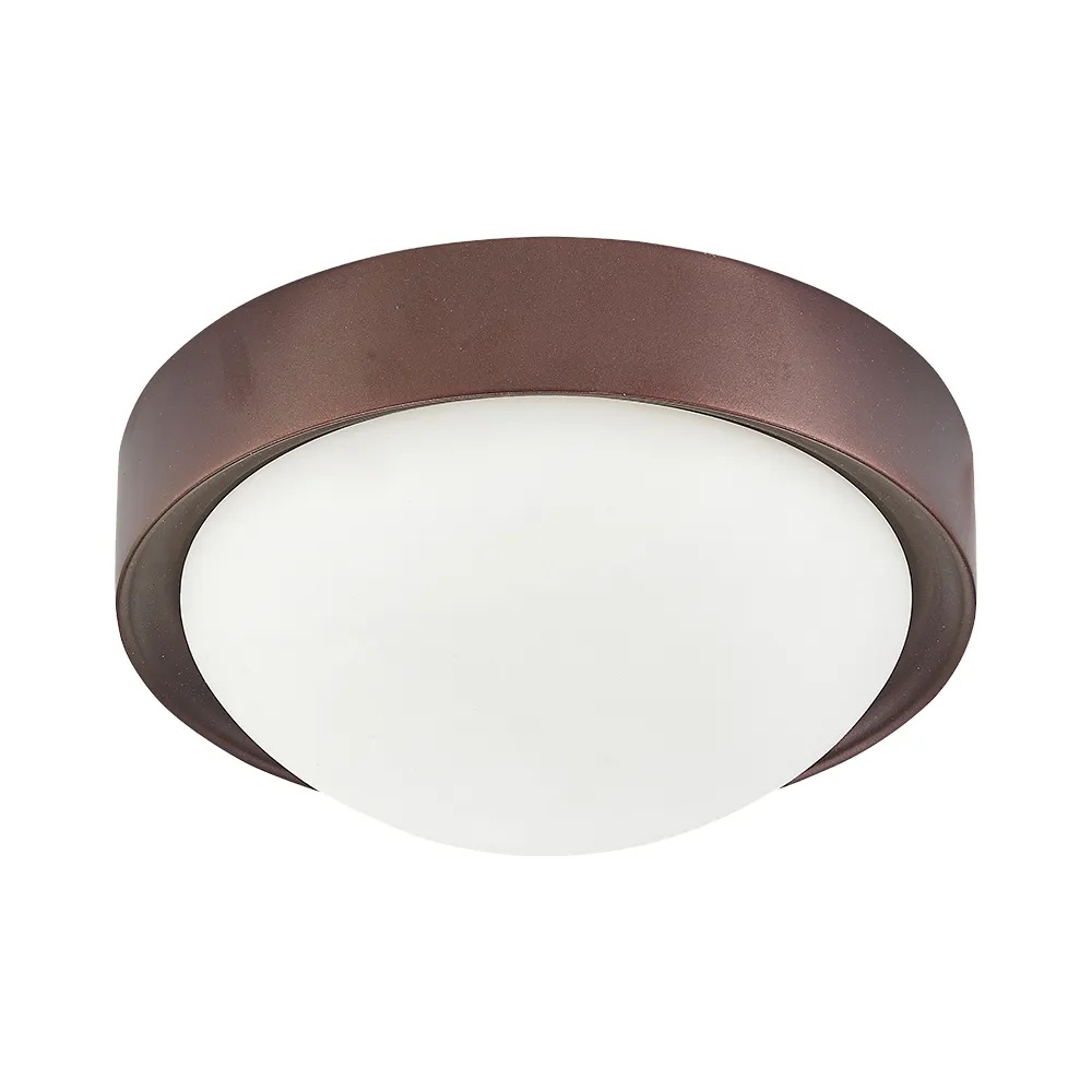 FR9010 Standard Resistance 1/2W for Lightning Protection Ground Resistance HOT 歷史價格詳細信息