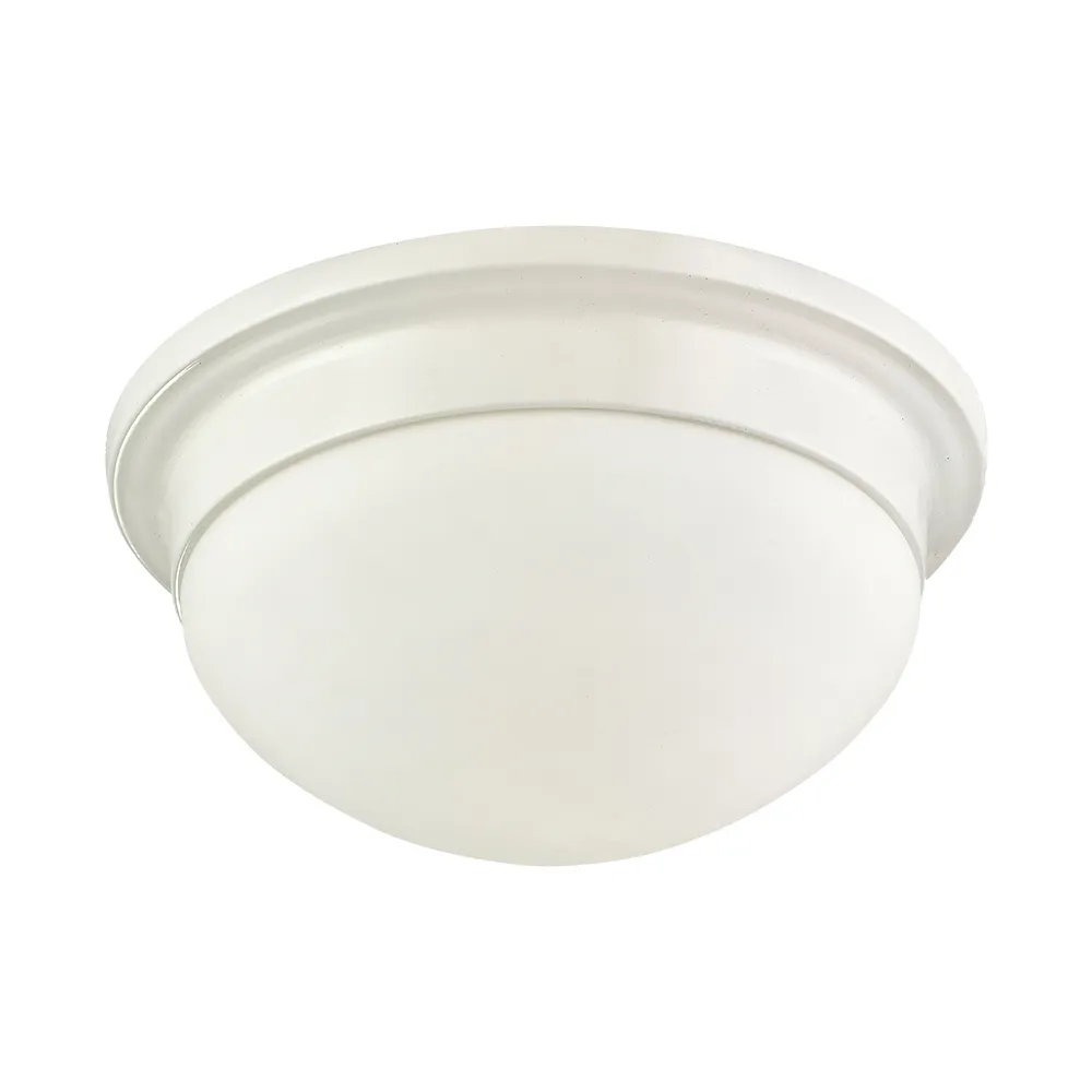 【Honey Comb】浴室陽台燈LED 24W白光吸頂燈(V1892W) 歷史價格詳細信息