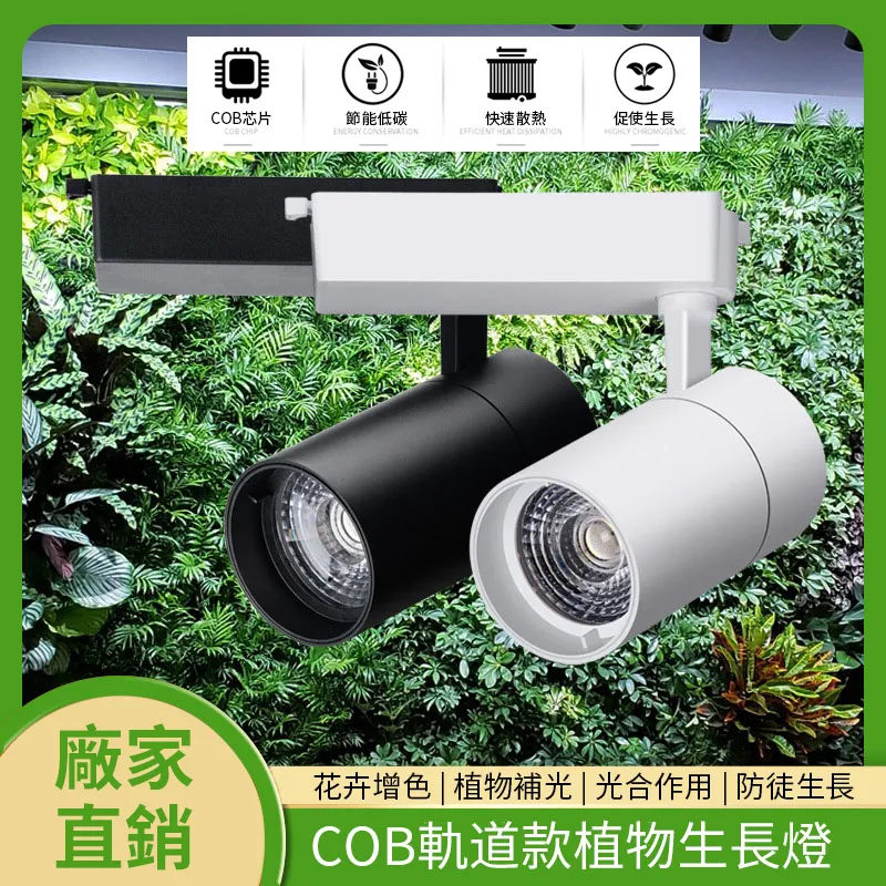 cob長條形面板光源超高亮攝影led集成光源20w大功率cob面板燈 歷史價格詳細信息