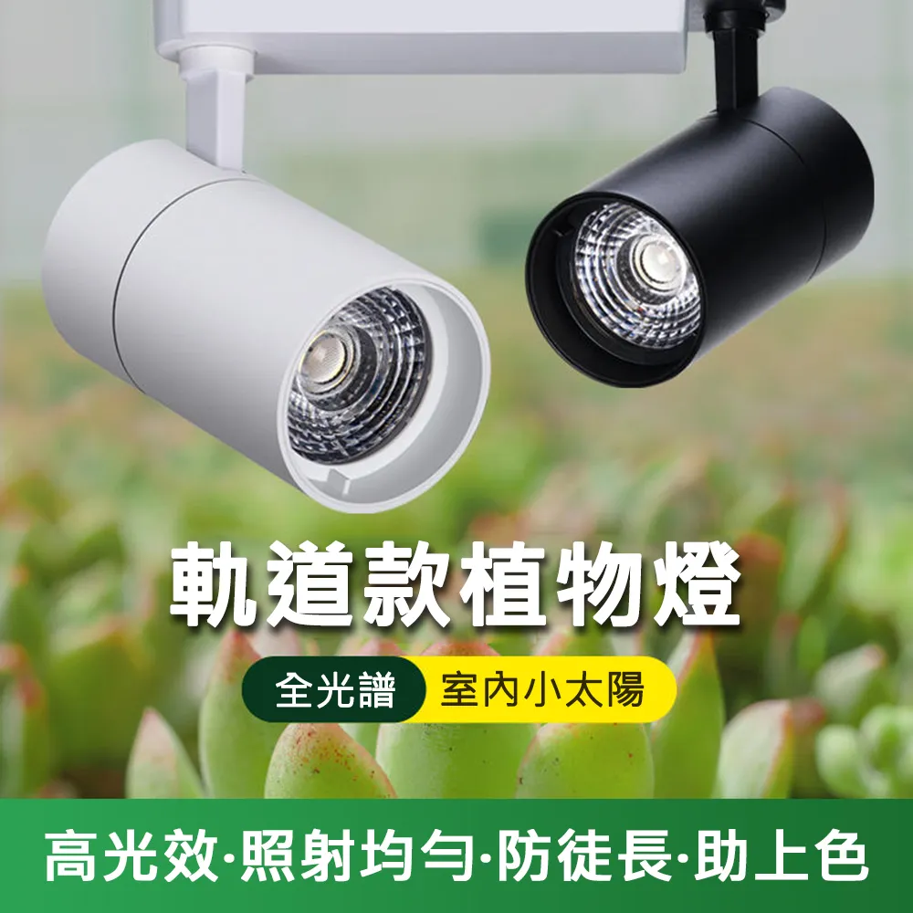全新COB自行車燈 紅藍白3色警示燈 USB充電山地車尾燈 FY-306自行車燈 車前燈 車尾燈 剎車燈 警示燈 歷史價格詳細信息