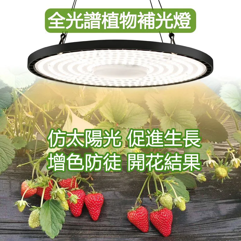 植物燈 led 植物生長燈 100瓦 紅藍光 莖葉類植物 泛光型 防水 明緯電源供應器 臺灣生產 歷史價格詳細信息