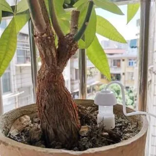 (2入)自動閉門器1000g拉力 自動關門器 緩衝關門器 緩衝拉門 歷史價格詳細信息