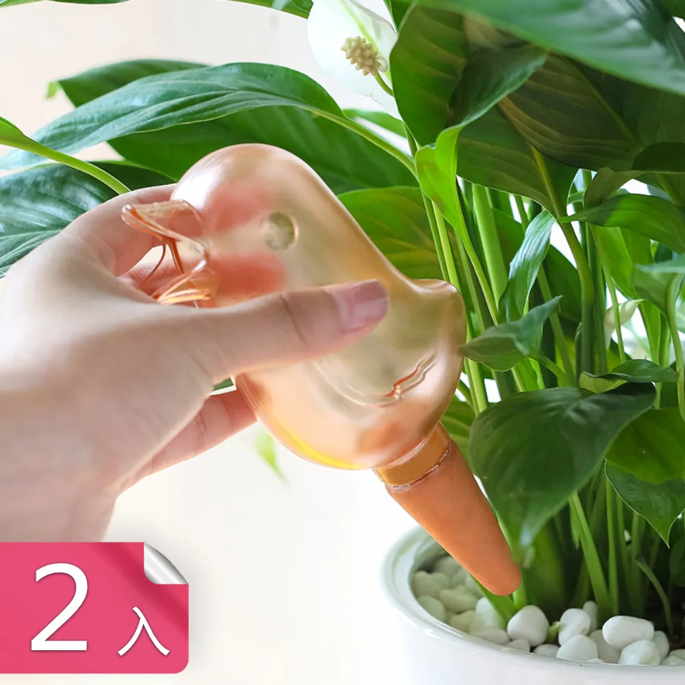 自主 LITTLE AFRICA x EFF 棕色 全封帽 棒球帽 大頭圍 毛呢材質 歷史價格詳細信息