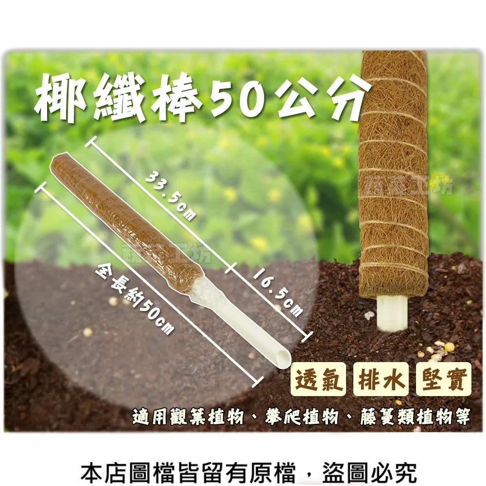 椰纖雙面洗碗布-3枚入X12組 歷史價格詳細信息