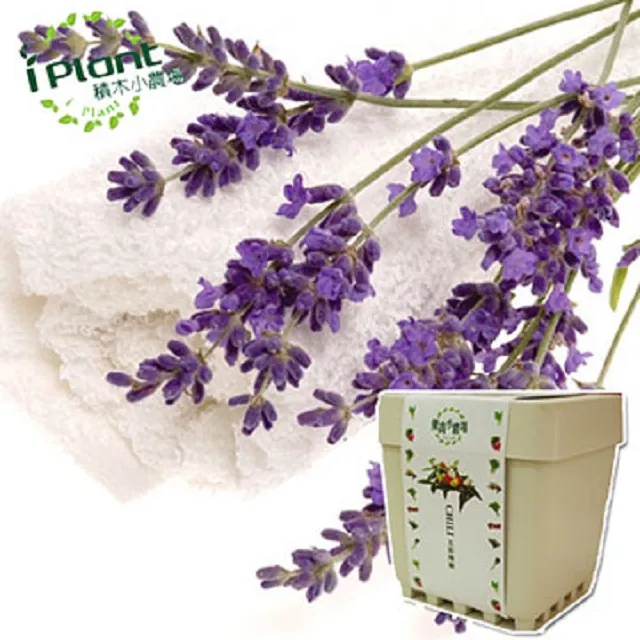 【iPlant】積木小農場-冰花菜(內含種子培養土肥料花盆) 歷史價格詳細信息