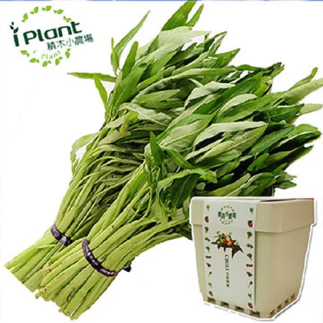 【iPlant】積木小農場-冰花菜(內含種子培養土肥料花盆) 歷史價格詳細信息