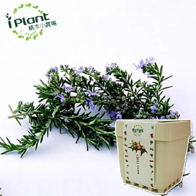 【iPlant】積木小農場-冰花菜(內含種子培養土肥料花盆) 歷史價格詳細信息